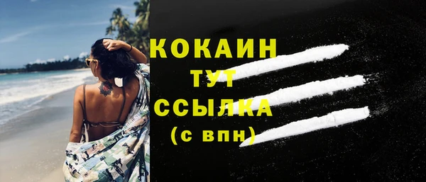 стаф Осинники