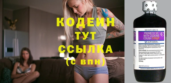 стаф Осинники