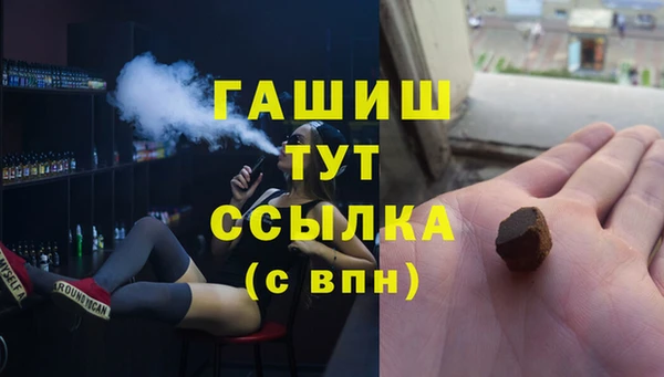 стаф Осинники