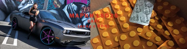 дживик Снежногорск