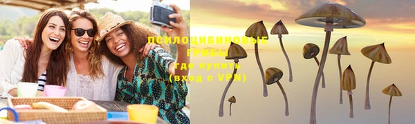 стаф Осинники