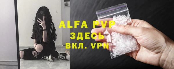 хмурый Бикин
