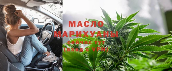 стаф Осинники