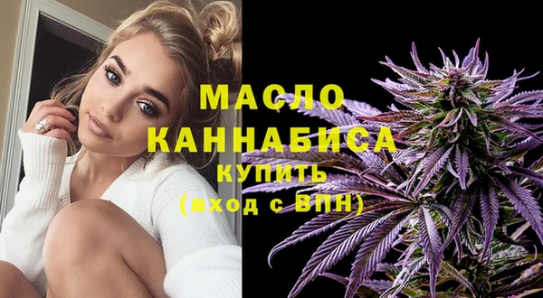 стаф Осинники