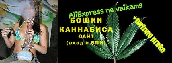 стаф Осинники