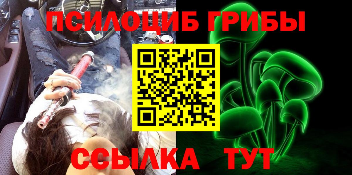 Галлюциногенные грибы прущие грибы Северск