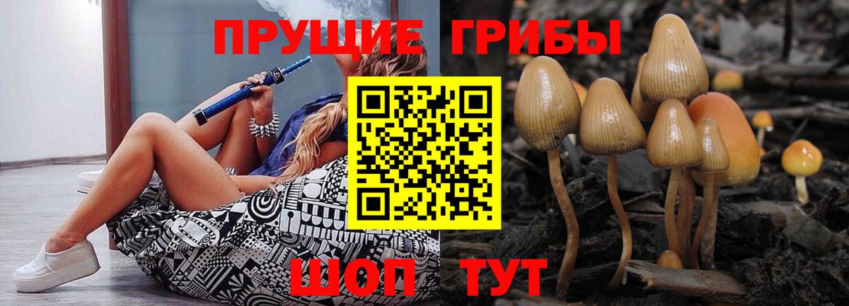 Галлюциногенные грибы Magic Shrooms Северск