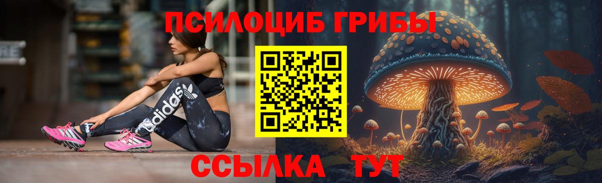 Галлюциногенные грибы Magic Shrooms  Псилоцибиновые грибы мухоморы  даркнет сайт  Вход с VPN  Северск 